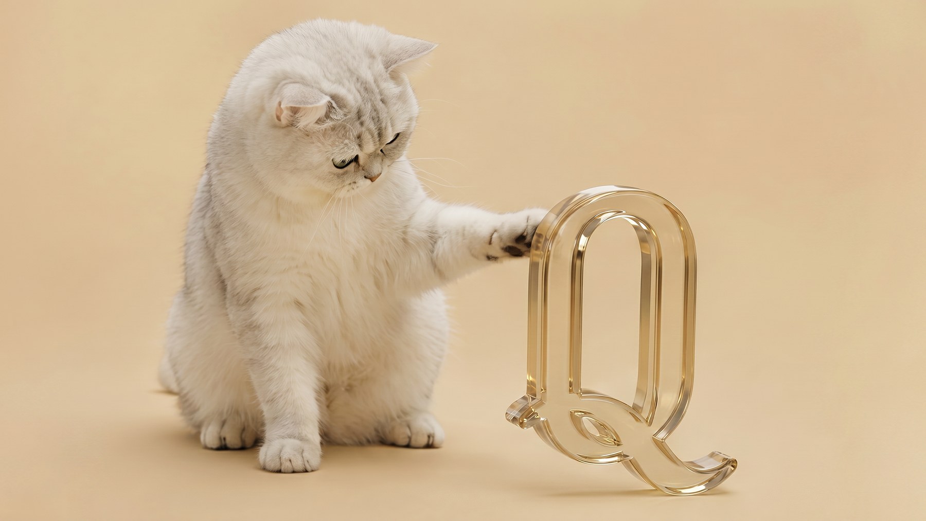 A white British shorthair cat playing with a gold glass Q sculpture
